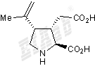 Kainic acid Small Molecule